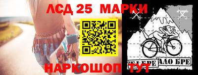 шишки Берёзовский