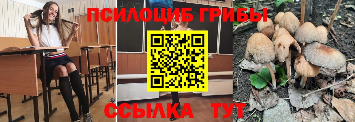 Псилоцибиновые грибы Magic Shrooms  Псилоцибиновые грибы мухоморы  Всеволожск  Вход с VPN 